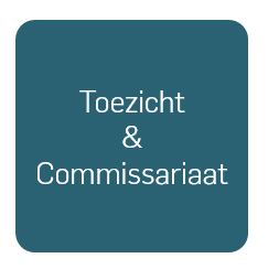 Plaatje Toezicht & Commissariaat – NED
